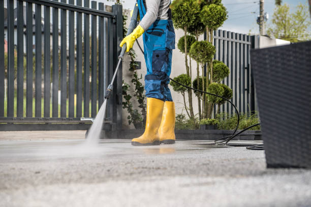 Best Best Pressure Washing Companies  in Harper Woods, MI