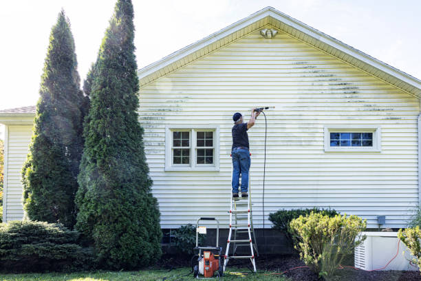 Best Pressure Washing Company Near Me  in Harper Woods, MI