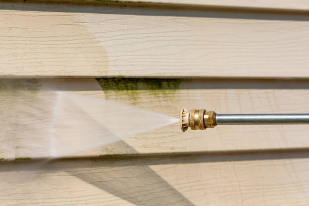 Best Pressure Washing Company Near Me  in Harper Woods, MI